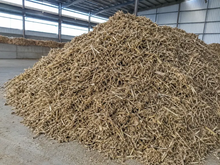 生物秸秆(处理后)